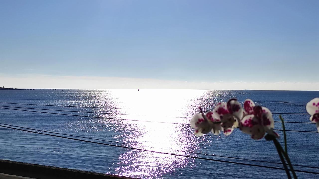 Studio Face A La Mer Concarneau Exteriér fotografie